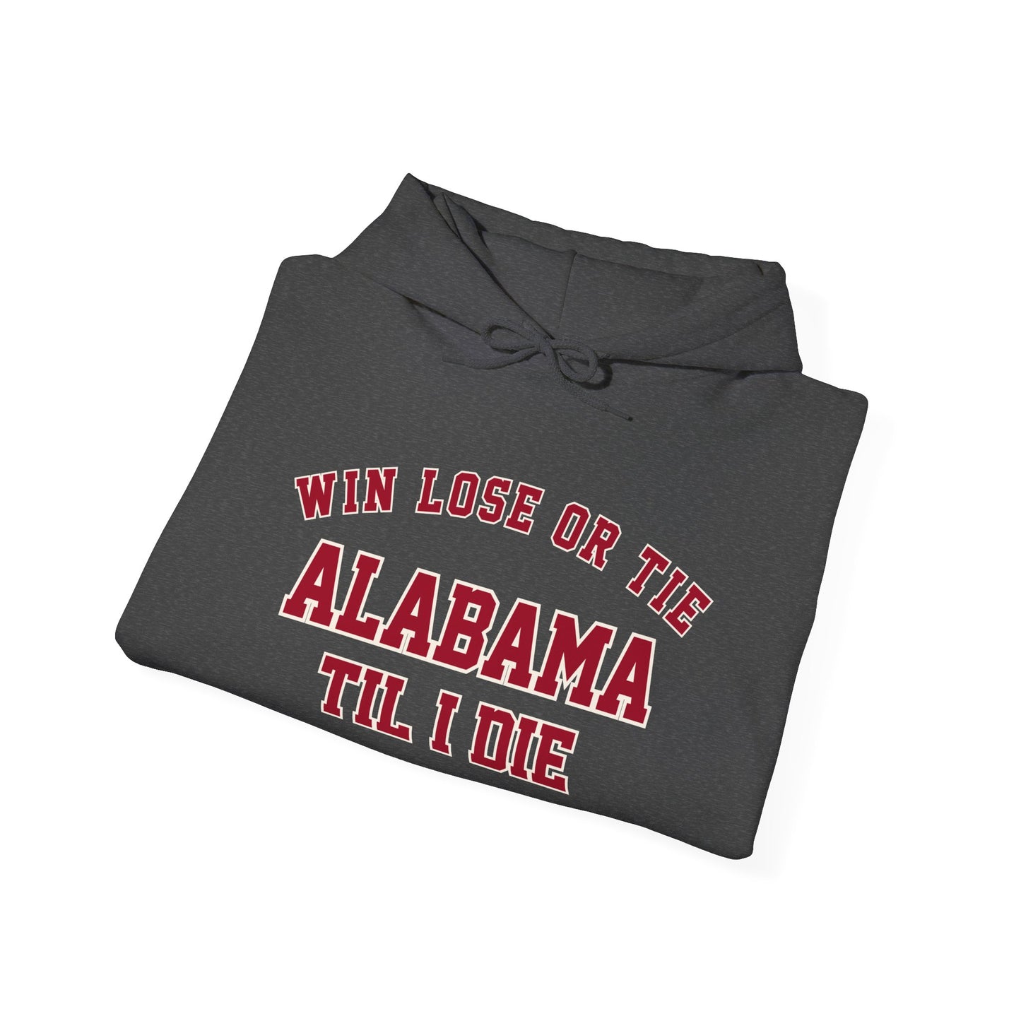 Win, Lose or Tie Hoodie