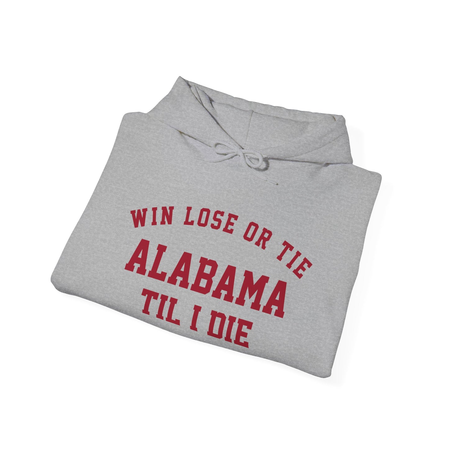 Win, Lose or Tie Hoodie
