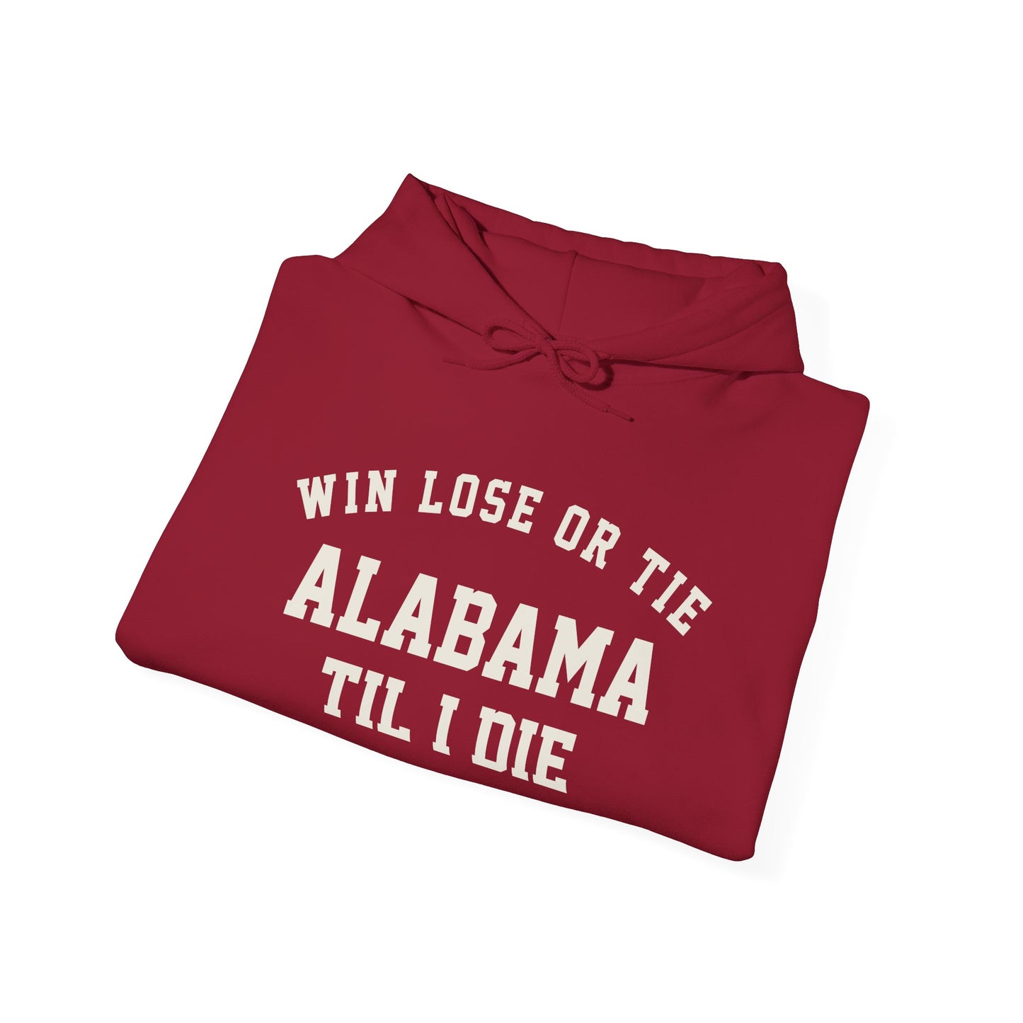 Win, Lose or Tie Hoodie